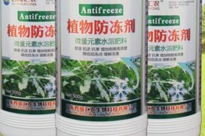 什么是植物防冻剂,是一类植物叶面肥