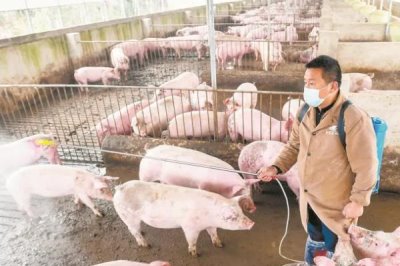 非瘟猪场怎么消毒，首先将所有设备进行清洗并消毒