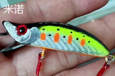 容易让鲈鱼上钩的饵料,河虾是鲈鱼的主要食物