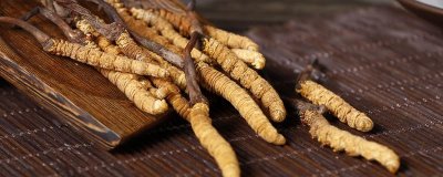 冬虫夏草的生长过程,它既不是植物也不是动物