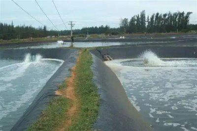 水产养殖用多厚的防渗膜,厚度达到0.5毫米便非常实用