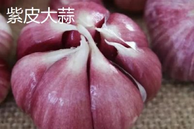 甘肃省民乐县的特产,产出的苹果梨具有中国一代梨王的美誉