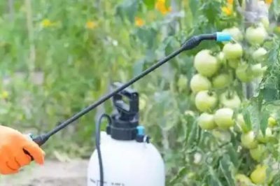 除草剂的种类,分为灭生性和选择性除草剂