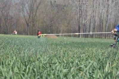 大蒜根腐病的原因,品种不抗病或重茬连作都会导致