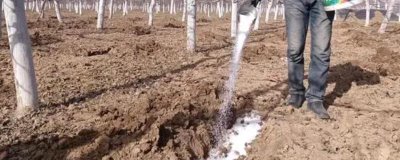 生物钾肥有什么作用,有强大的活化能力