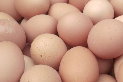 柴鸡蛋和普通鸡蛋的区别,外形和蛋黄均不同