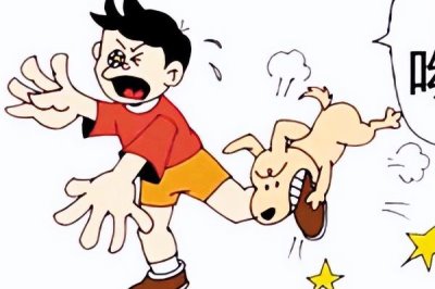 狗狗爱咬东西有哪些原因,可能处在磨牙期