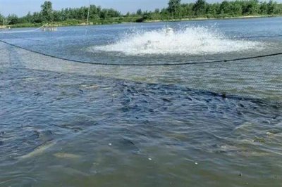 农村鱼塘养鱼技术,位置要选在水源附近