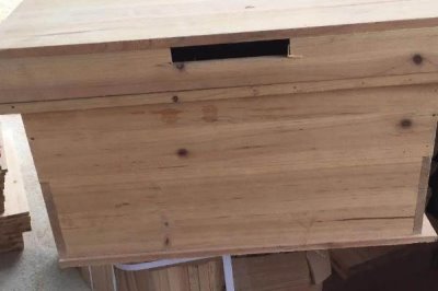 南方如何诱蜂及注意事项,利用蜂蜡可吸引侦查蜂