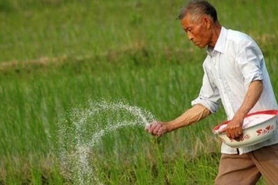 使用氮肥要注意什么，不能和碱性肥料、有机肥一起使用
