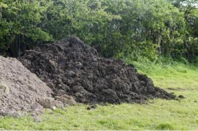 冬季堆肥要注意什么,在肥堆顶部盖土封泥能够保温