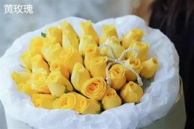 香槟玫瑰与黄玫瑰有什么区别,颜色、花语均不同