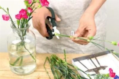 怎么让水养康乃馨花苞开花，要经常换水