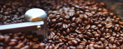 云南省盛产咖啡的原因,具有土壤肥沃、日照充足、雨量丰富等有利条件