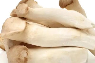 大棚蘑菇的利润有多少,取决于实际产量