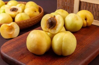 香白杏的价格,一斤需要1.5-5元左右