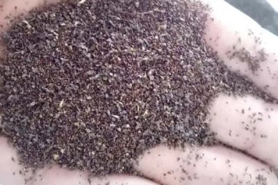 雪见草的种植方法,在我国农村随处可见