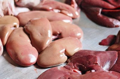 用什么钓甲鱼合适,常用的饵料是禽畜内脏