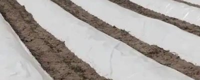 如何购买农膜，首先要看产品合格证