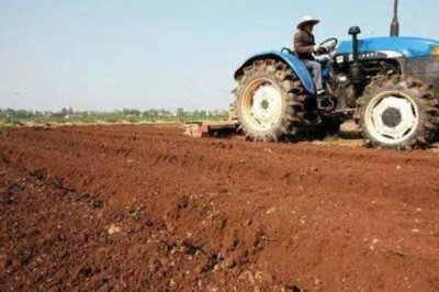 判断饼肥是否完成发酵的方法,轻微成团、散发出酵甜味便表示成功发酵