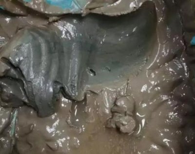 叶莲的养殖方法,确保其每天有4小时左右的光照