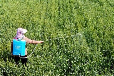 吡唑醚菌酯可以和哪些农药复配,可与代森联、苯醚甲环唑、丙森锌等复配