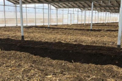 蚯蚓的养殖方法有哪些,可结合实际情况任选以下7种养殖方法