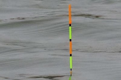 钓鱼有哪些漂相以及何时提竿，主要包括黑漂、顿口、送漂、点漂等漂相