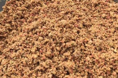 初夏怎么钓鱼,具有水草、深度为1-2米的水域可作为首选钓点