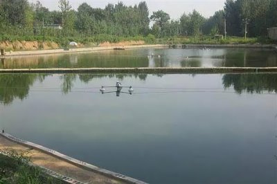 夏季养鱼鱼病的防治措施，需定期冲水换水