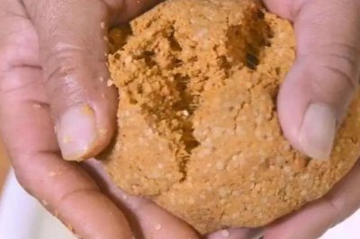 草鱼喜欢吃什么饵料，草香味、甜香味和薯香味的都喜欢