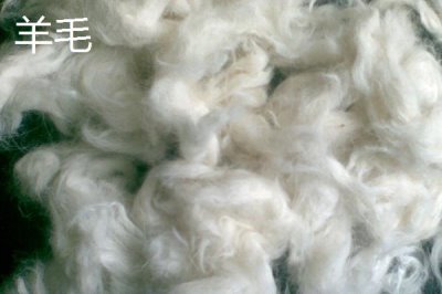羊绒的种类，从颜色上可分为白绒、青绒和紫绒