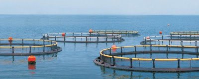 室内水产养殖项目,好养又赚钱