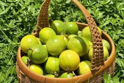 种植百香果的效益，种植当年一亩地可获2500元左右的纯利润