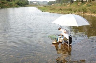如何在浅水中钓鱼,打窝后可以采取逗钓法