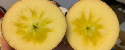 冰糖心苹果是特殊的品种吗，并非特殊的品种