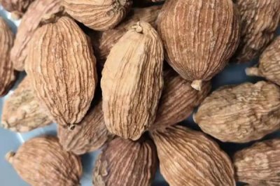 草果简介,是著名的药食两用中药材