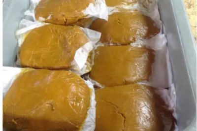 一斤花粉可以喂多少蜂，根据蜂种、气候、蜜源等确定