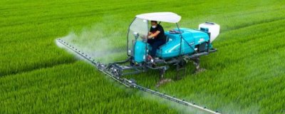 阿维菌素的防治对象,可灭杀水稻螟虫、蚜虫、小菜蛾等害虫