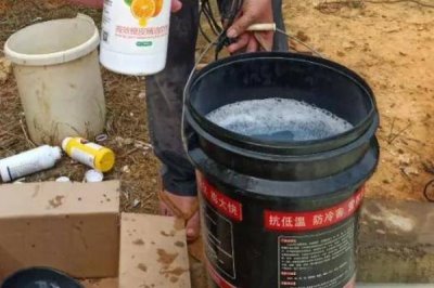 十滴水杀虫比例怎样配,通常500ml的十滴水兑水1kg