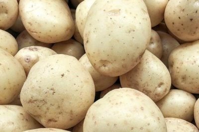 马铃薯的品种介绍,有不同颜色的