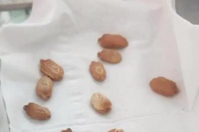 苦瓜苗不长的原因,可能是光照不足或养分缺少等导致的
