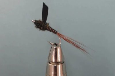 钓白条用伊豆几号钩,一般用1-3号