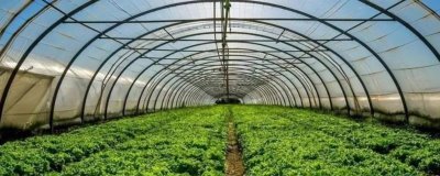 冬季如何快速提高棚室地温，封冻前铺防寒草效果好