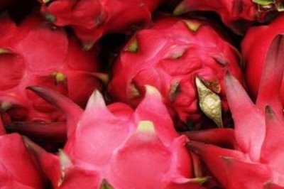 好吃的水果有哪些，常见的有丑橘、冰糖心苹果、雪莲果等