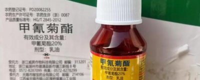 菊酯类杀虫剂可以杀哪些虫,甲氰菊酯可防治咀嚼式和刺吸式口器害虫