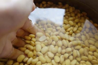 黄豆有机肥属于酸性还是碱性，是一种中性或偏酸性肥料