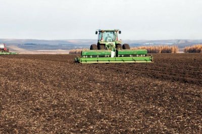 小麦种植时间和方法,播种时间会受到各地气候的影响