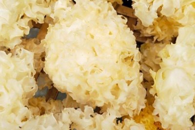 我国哪些地方产银耳,古田、通江、固原等地的银耳非常出名