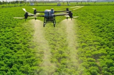 如何防治根结线虫,首先要选择基质育苗